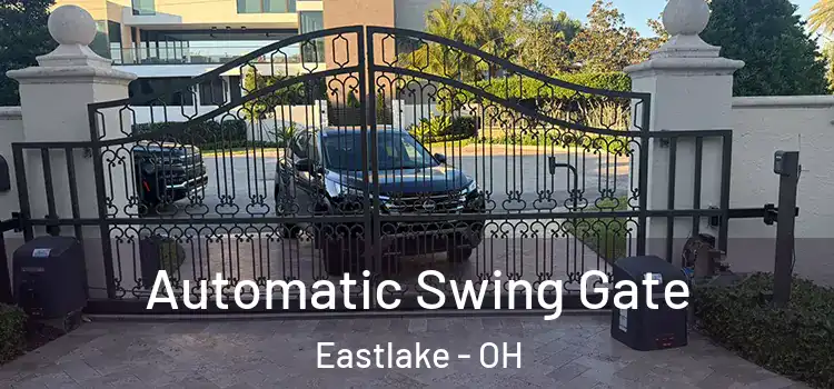  Automatic Swing Gate Eastlake - OH