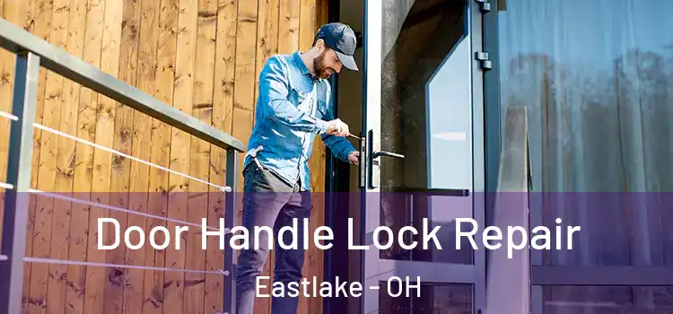 Door Handle Lock Repair Eastlake - OH