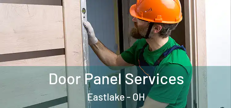 Door Panel Services Eastlake - OH