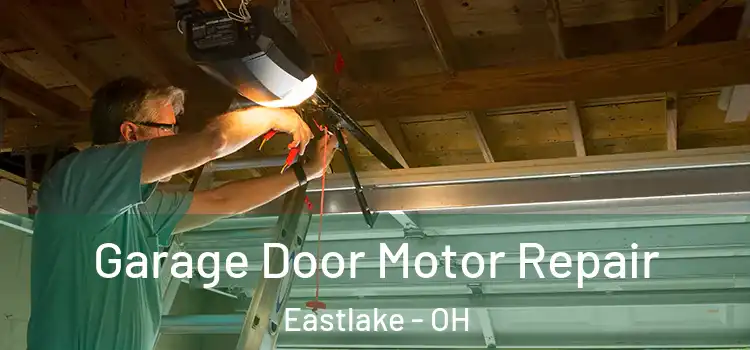  Garage Door Motor Repair Eastlake - OH