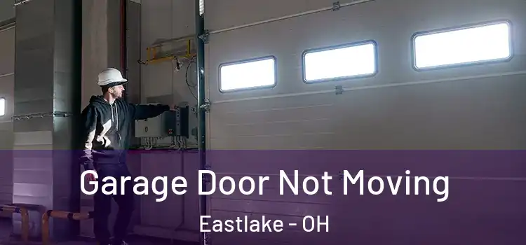  Garage Door Not Moving Eastlake - OH