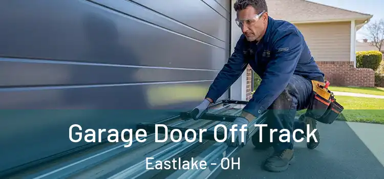  Garage Door Off Track Eastlake - OH