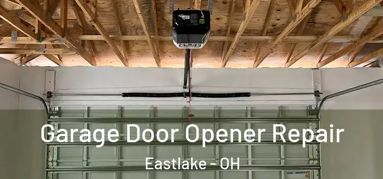  Garage Door Opener Repair Eastlake - OH