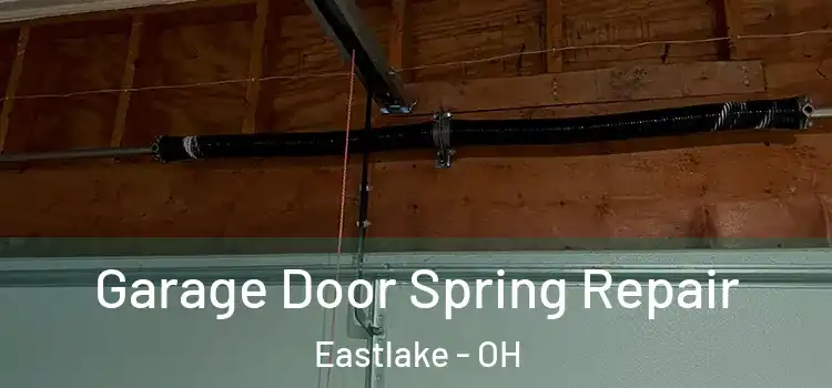  Garage Door Spring Repair Eastlake - OH