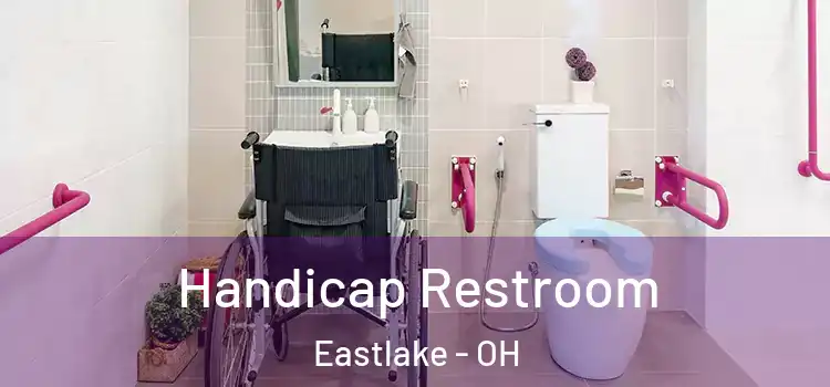  Handicap Restroom Eastlake - OH