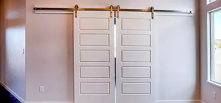 Glass Barn Door with Installation Hardware Kit Eastlake