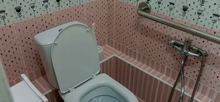 Meeting Diverse Needs With Accessible Restroom Solutions in Eastlake, OH