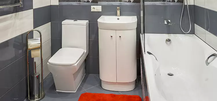 Hansgrohe Shaving Mirror Eastlake