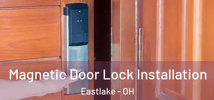  Magnetic Door Lock Installation Eastlake - OH