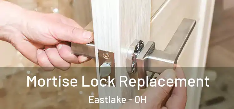  Mortise Lock Replacement Eastlake - OH