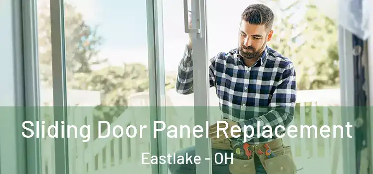  Sliding Door Panel Replacement Eastlake - OH