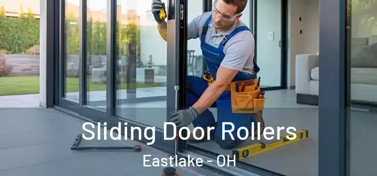  Sliding Door Rollers Eastlake - OH